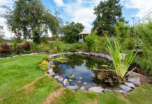 Bassins à poisson Bassin à poisson