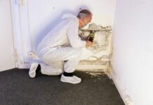 Un nettoyage efficace contre les moisissures Nettoyage moisissure