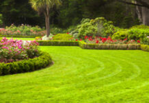 Conseils pour aménager son jardin Paysage