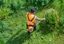 Créez Votre Oasis Extérieure : Guide Complet pour un Aménagement Paysager Réussi aménagement paysager